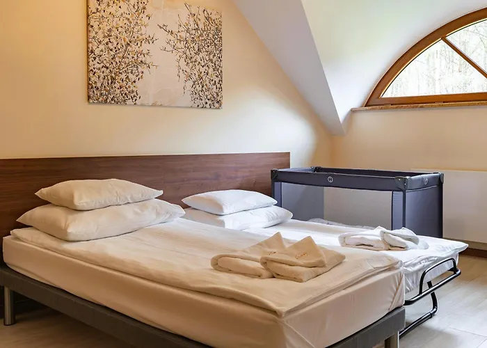 Złota Jesień Kartuzy